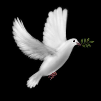 colomba-pace-nel-mondo