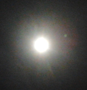 moon.jpg - 42.31 kb