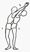 muscoli-dorsali-es1