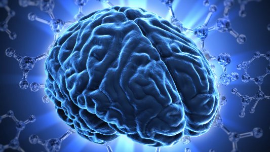 cervello ricerche scientifiche