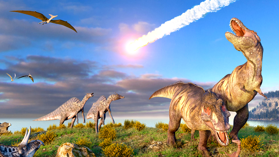 Esperimento genetico - dinosauri Esperimento genetico - dinosauri