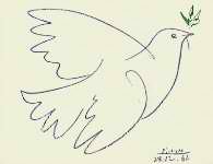 picasso-pablo-dove