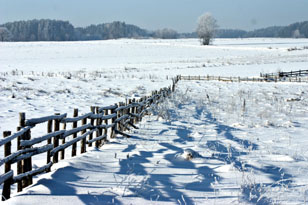 neve-pianura