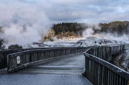 ponte-nuova-zelanda