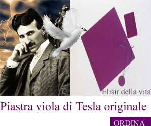 piastra-viola-originale